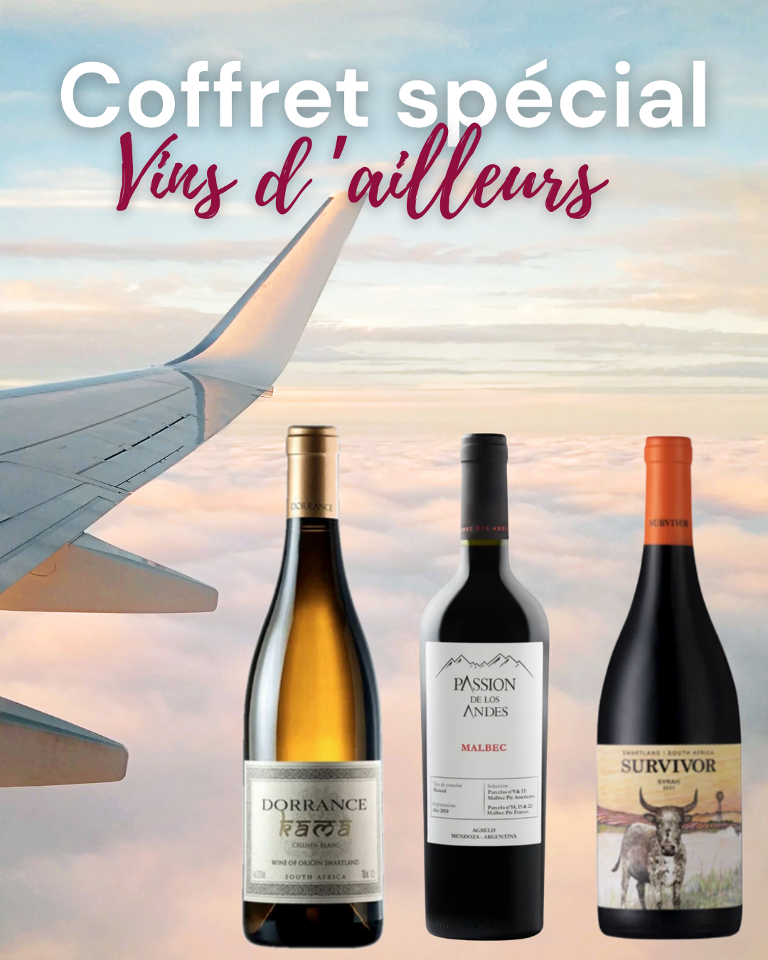 Lot de 3 bouteilles - Coffret cadeau Vins d'ailleurs-2