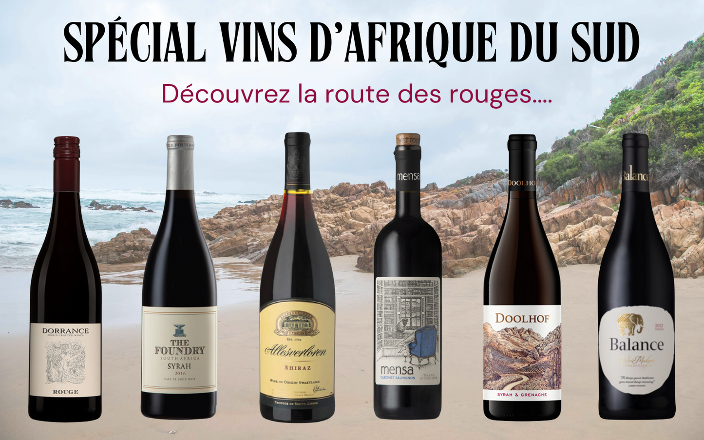Carton 6 bouteilles Découverte des vins rouges Sud Africains
