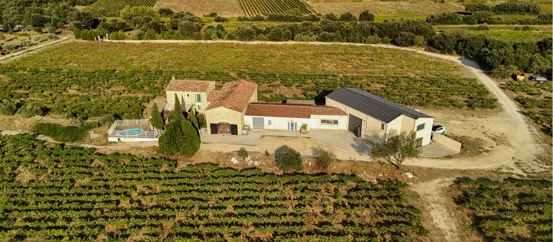 Vignes du Domaine Les Cadinières à Pouzilhac dans les Côtes-du-Rhône gardoises