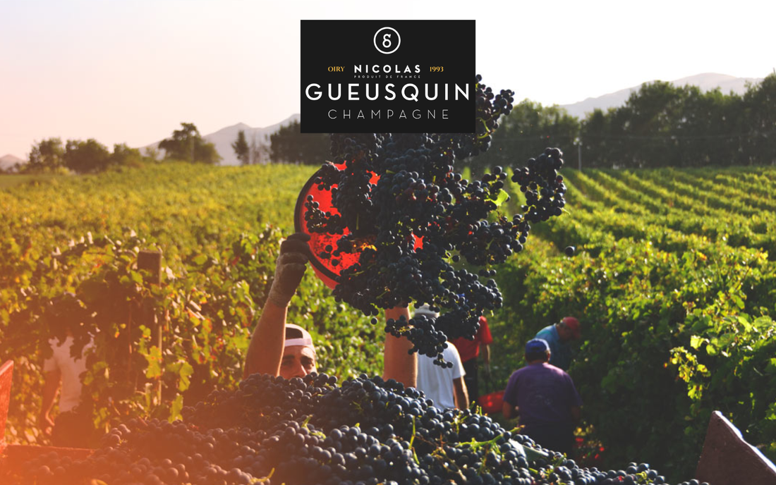 Champagne Nicolas Gueusquin - Maison Les Roches Blanches, Oiry