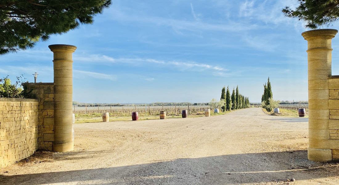 Château Saint-Cyrgues – Vignoble bio dans les Costières de Nîmes, face à la Camargue