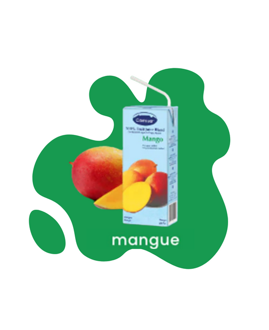 Pack 6 Jus de Mangue 200ml CAMISA - Sans Sucre Ajouté