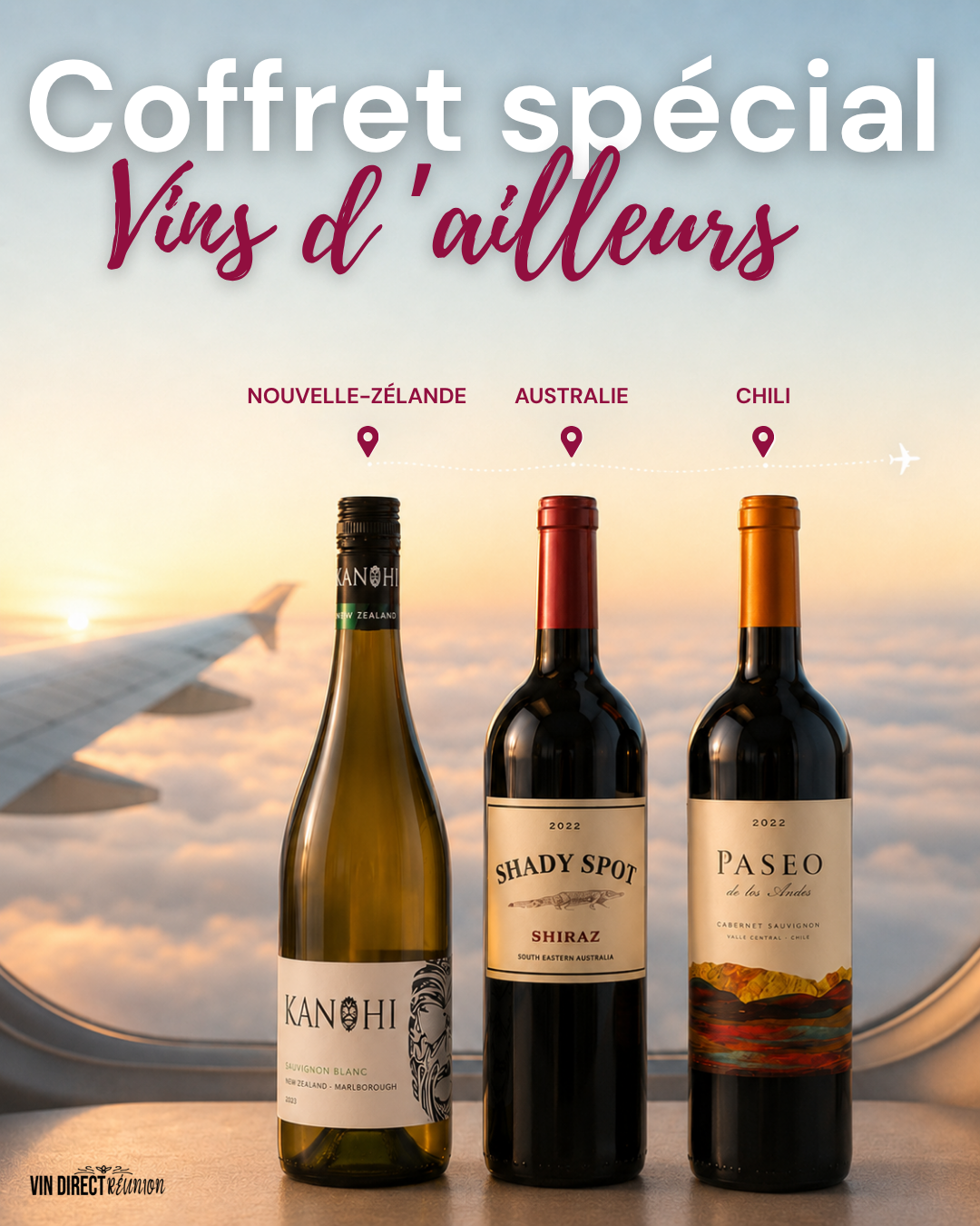 Lot de 3 bouteilles - Coffret cadeau Vins d'ailleurs