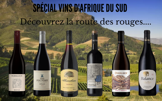 Carton 6 bouteilles Découverte des vins rouges Sud Africains