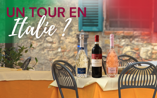 Lot de 3 bouteilles - Coffret cadeau Vins d'Italie