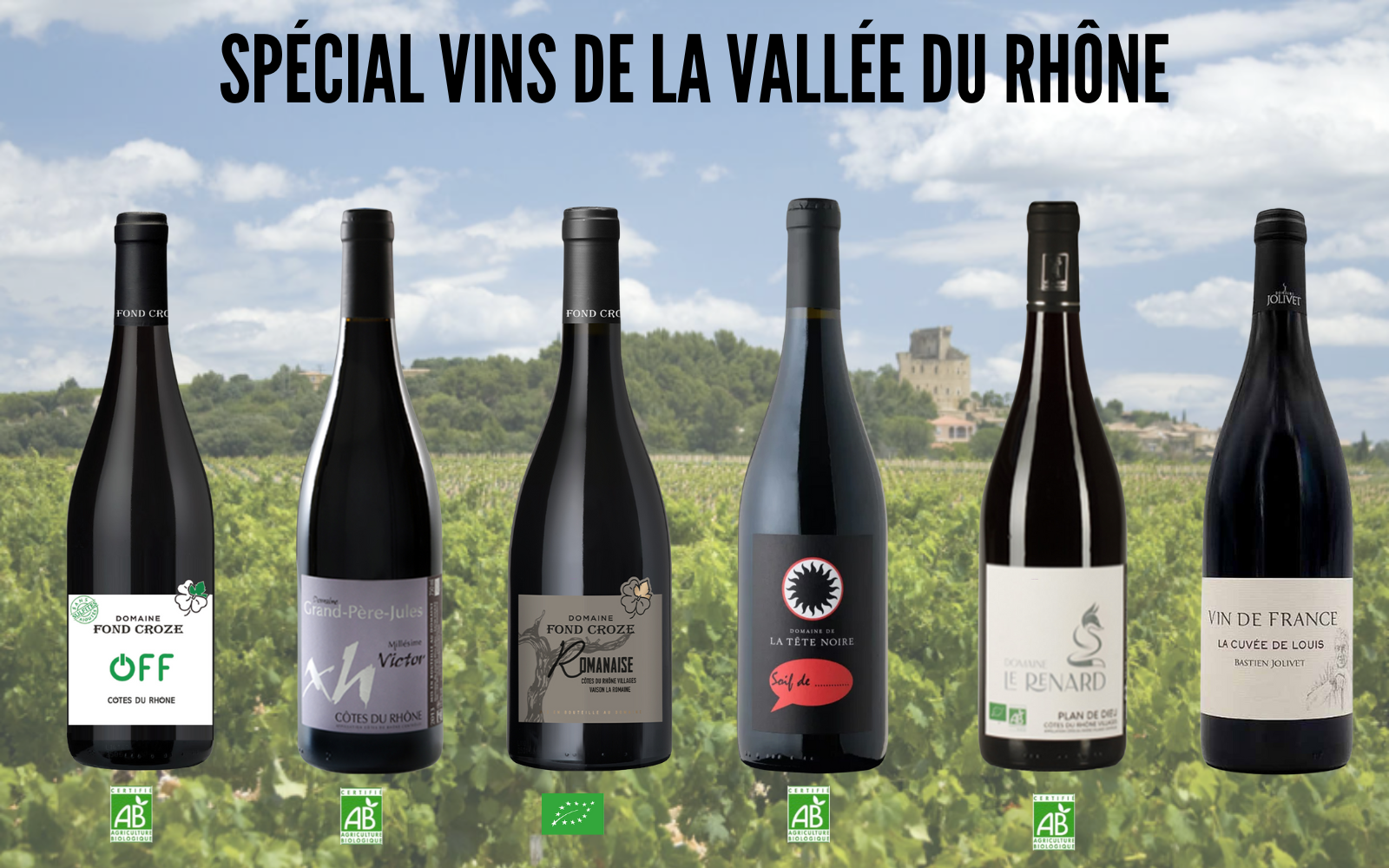 Carton 6 bouteilles Découverte des vins de la Vallée du Rhône