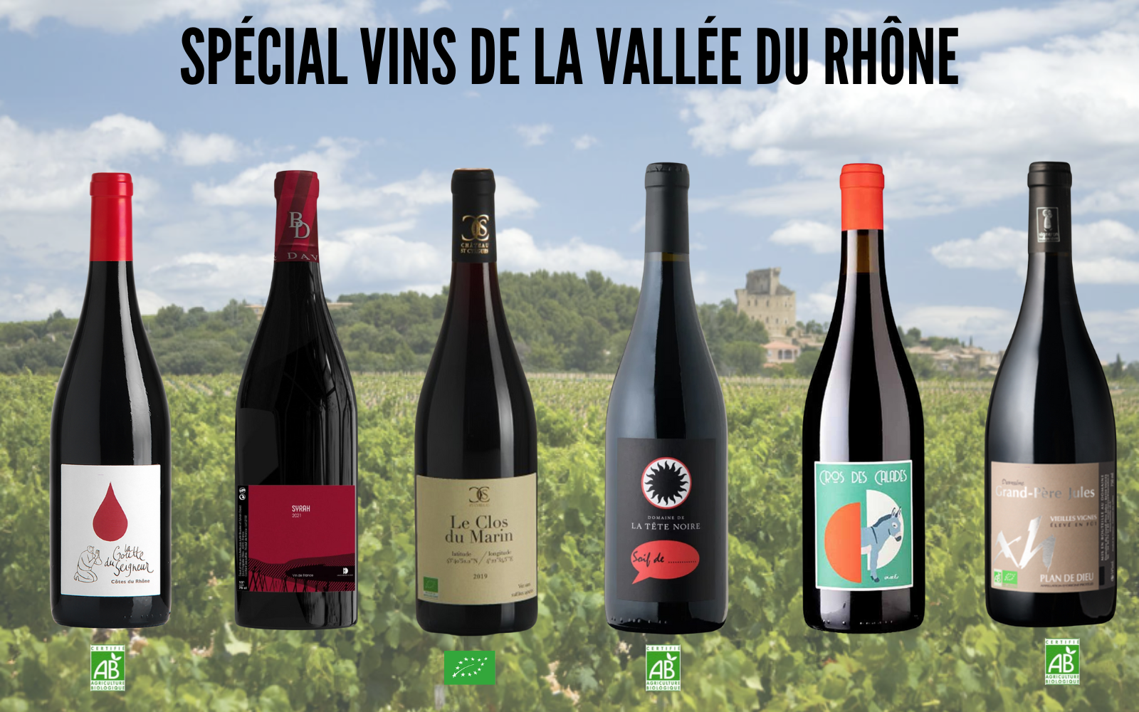 Carton 6 bouteilles Découverte des vins de la Vallée du Rhône