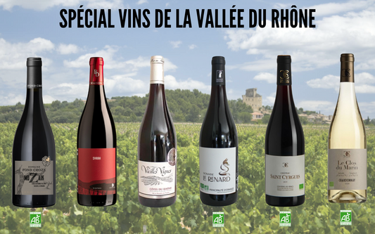 Carton 6 bouteilles Découverte des vins de la Vallée du Rhône